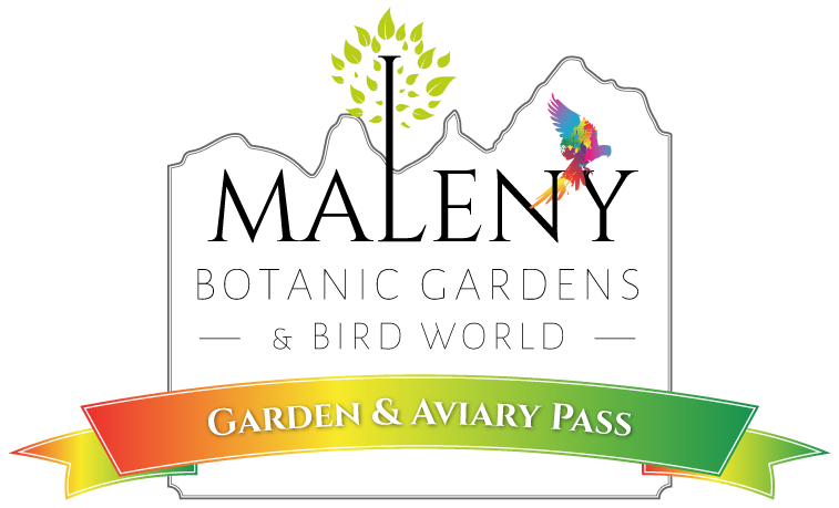 Maleny Botanic Gardens & Bird World logo with mountain outline, tree, colorful parrot, and a rainbow banner reading "Garden & Aviary Pass.