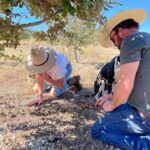 Two people wearing hats kneel on the ground under a tree, examining the soil, with a dog beside them in a dry, grassy area.