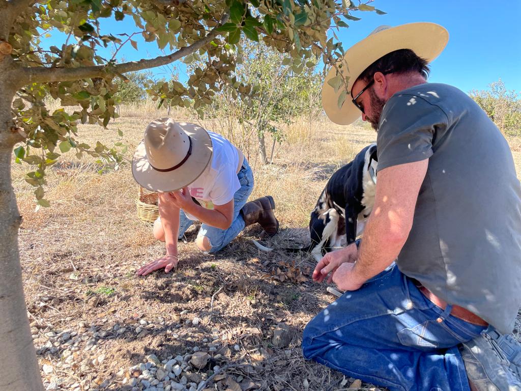 Two people wearing hats kneel on the ground under a tree, examining the soil, with a dog beside them in a dry, grassy area.