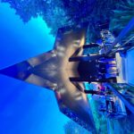 A group of people stands beneath a modern, angular metal pavilion at dusk, surrounded by trees and illuminated by blue lighting.