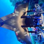 People walk on a bridge toward a modern, angular, wood and metal structure with a star-shaped roof, surrounded by trees in the evening.