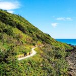 A winding coastal path curves along a green hillside beside the blue ocean, with a few people walking under a clear, sunny sky.