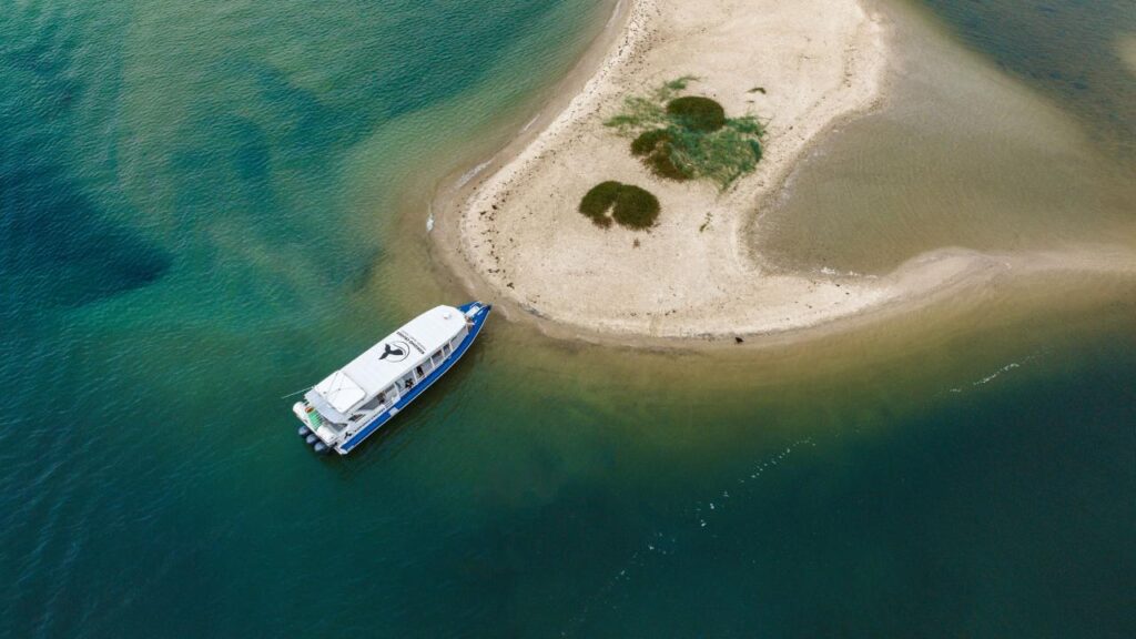 A blue and white boat is docked at a small sandy island surrounded by greenish-blue water, viewed from above.