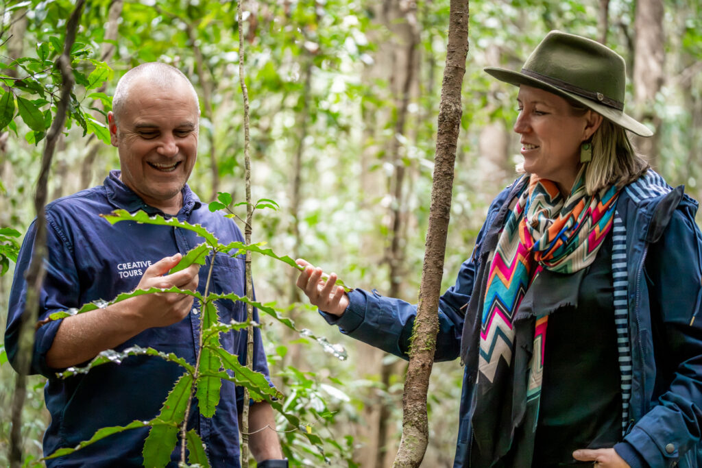 Two people stand in a forest, smiling and examining a plant. The man wears a navy shirt, and the woman wears a hat, scarf, and jacket. Trees and greenery surround them.