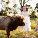 Two young girls in dresses stand next to a small brown cow in a grassy field, with trees in the background and a "VIP" badge in the upper left corner.