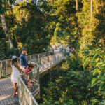 People stand on an elevated walkway surrounded by dense green forest, observing the scenery in daylight.