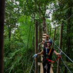 People wearing safety gear cross a wooden suspension bridge in a dense forest canopy, participating in a zip line or adventure course.