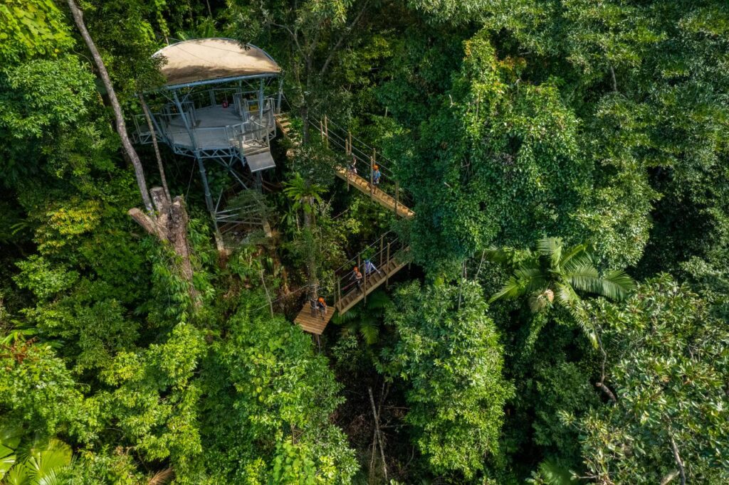 Aerial view of a raised structure connected by walkways in a dense green forest, with people walking on the wooden paths.