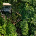 Aerial view of a raised structure connected by walkways in a dense green forest, with people walking on the wooden paths.