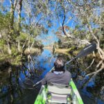 Person kayaking through a narrow waterway surrounded by trees and clear blue sky reflected in the water.