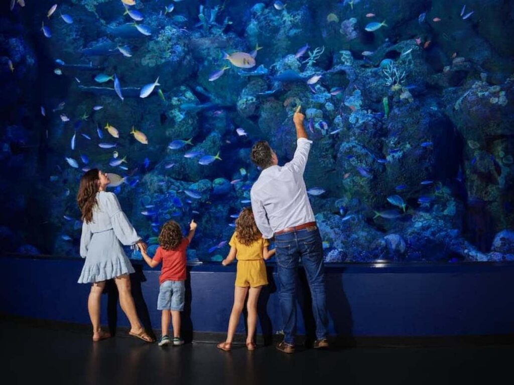 A family of four stands in front of a large aquarium tank, watching colorful fish and marine life swim behind the glass.
