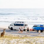 A kangaroo stands on sand dunes as five people walk near a white van and jet ski trailer parked on a beach by the ocean.
