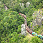 A colorful train with red carriages travels through dense green forest and rocky cliffs on a winding track.