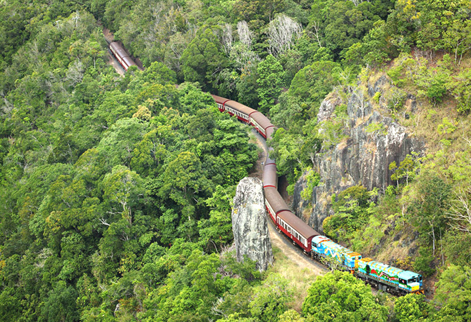 A colorful train with red carriages travels through dense green forest and rocky cliffs on a winding track.