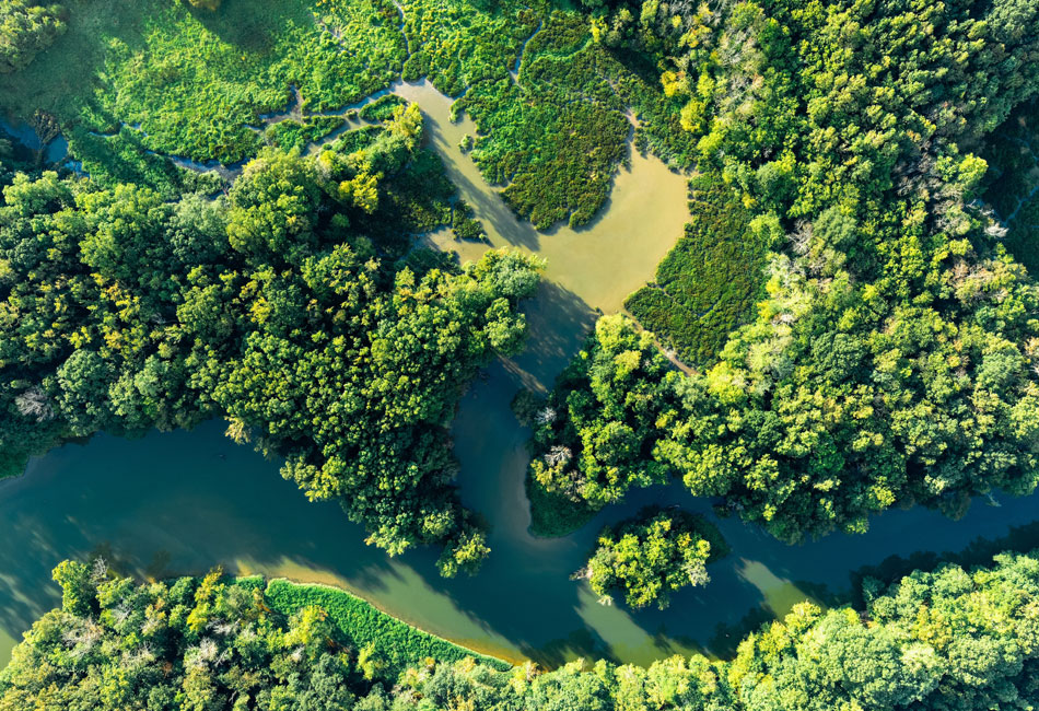 Aerial view of a winding river flowing through dense green forest and marshland, with sunlight casting shadows over the landscape.