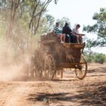 A horse-drawn wooden carriage with passengers rides along a dusty dirt road surrounded by trees. Two dogs sit at the front of the carriage.
