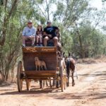Three people and a dog ride in a horse-drawn wooden wagon on a dirt path surrounded by trees and dry grass.