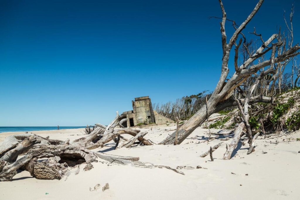 A sandy beach with scattered driftwood and an old concrete structure partially buried in the sand under a clear blue sky.