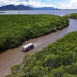 A boat travels along a brown river winding through dense green mangroves, with mountains and a partly cloudy sky in the background.