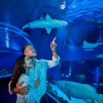 A couple stands together in an aquarium tunnel, looking up and pointing at a shark swimming overhead with other fish visible in the blue-lit water.
