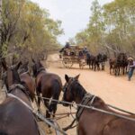 A group of horses pulling a mail stagecoach on a dirt road, with riders and handlers nearby among dry trees and brush.